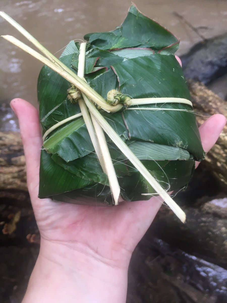 carlakent1972's tweet image. How sad, I spent a week at this project in the jungle. Had an amazing time. I’m glad all the Karen Hill tribe people are ok aswell as the elephants and#journeytofreedom #JTF 💕🐘🐘🐘#ethicalelephanttourism #rideabikenotanelephant