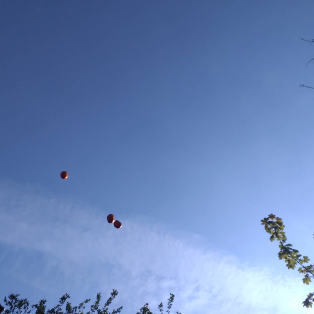 Our best attempt #sculpturesathome #spgathome #johnbaldessari #trytothrowthreeorangesinarow #36attempts