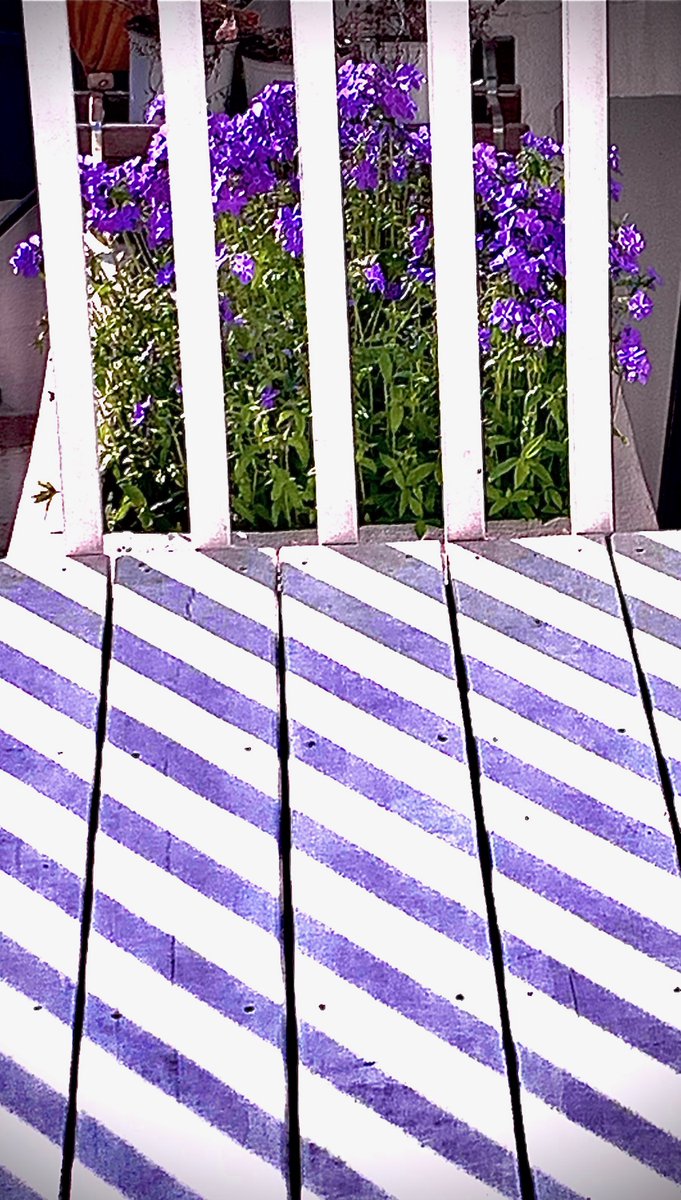 Erica3778's tweet photo. Genevieve, 6th grade, Day 13 #weephoto https://t.co/kcy3W39b5a