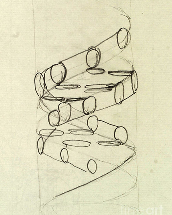 Shiquimico's tweet photo. El primer borrador de la molécula de ADN pertenece a Odile Speed, artista y pareja de Crick, su trabajo paso desapercibido, pero ilustró uno de los hitos más importantes de la biología. Elegante y hermoso👩‍🎨
Pueden leer más de ella https://t.co/cGCHvTKChI
#DNADay2020 #DNADay https://t.co/uVaG0bXkBJ
