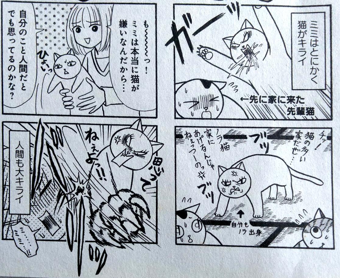 イワオ めしねこ 2巻発売中 Iwao Meshineko さんの漫画 52作目 ツイコミ 仮