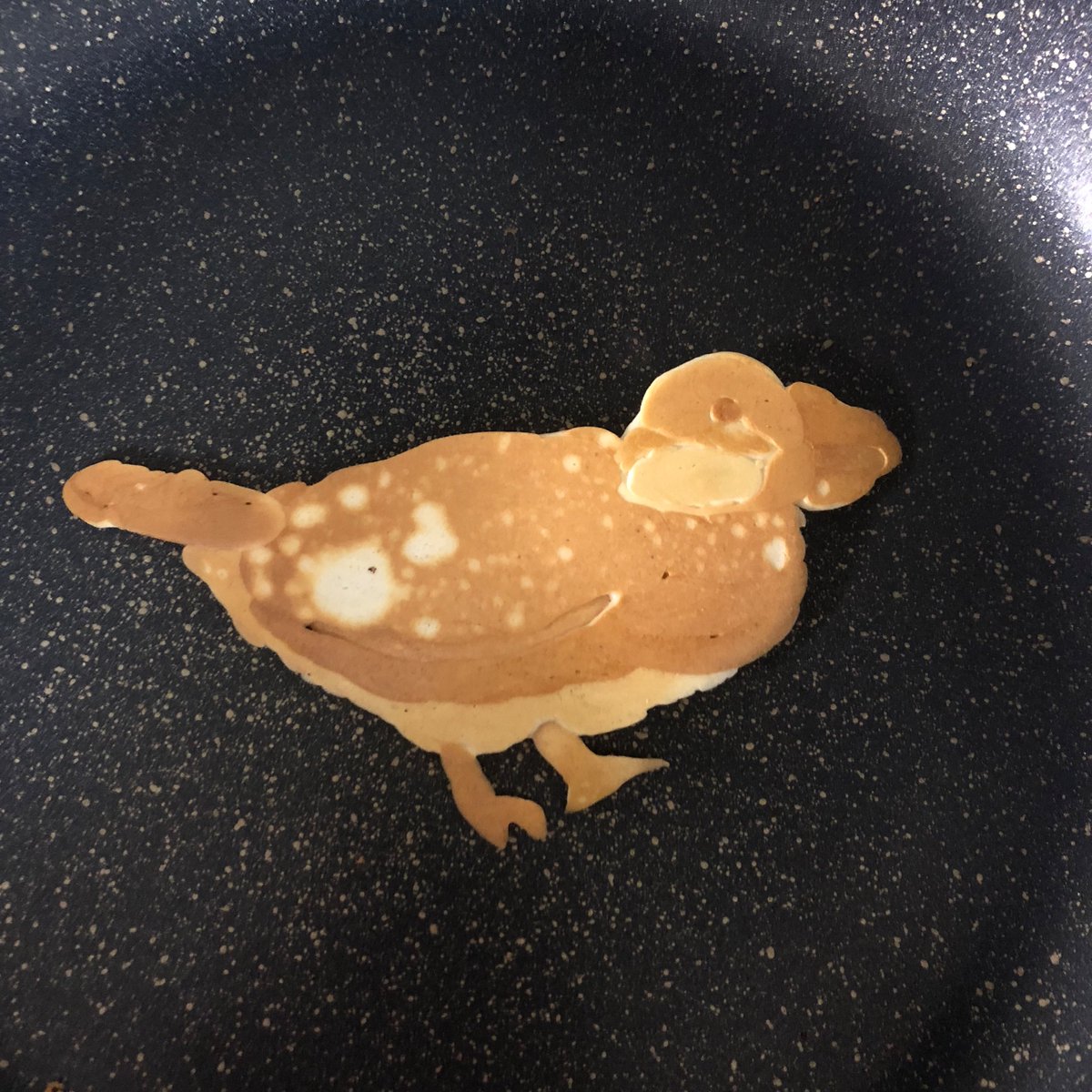 okotafu's tweet photo. 文鳥パンケーキ(手乗りサイズ) https://t.co/cjCC3adtaK