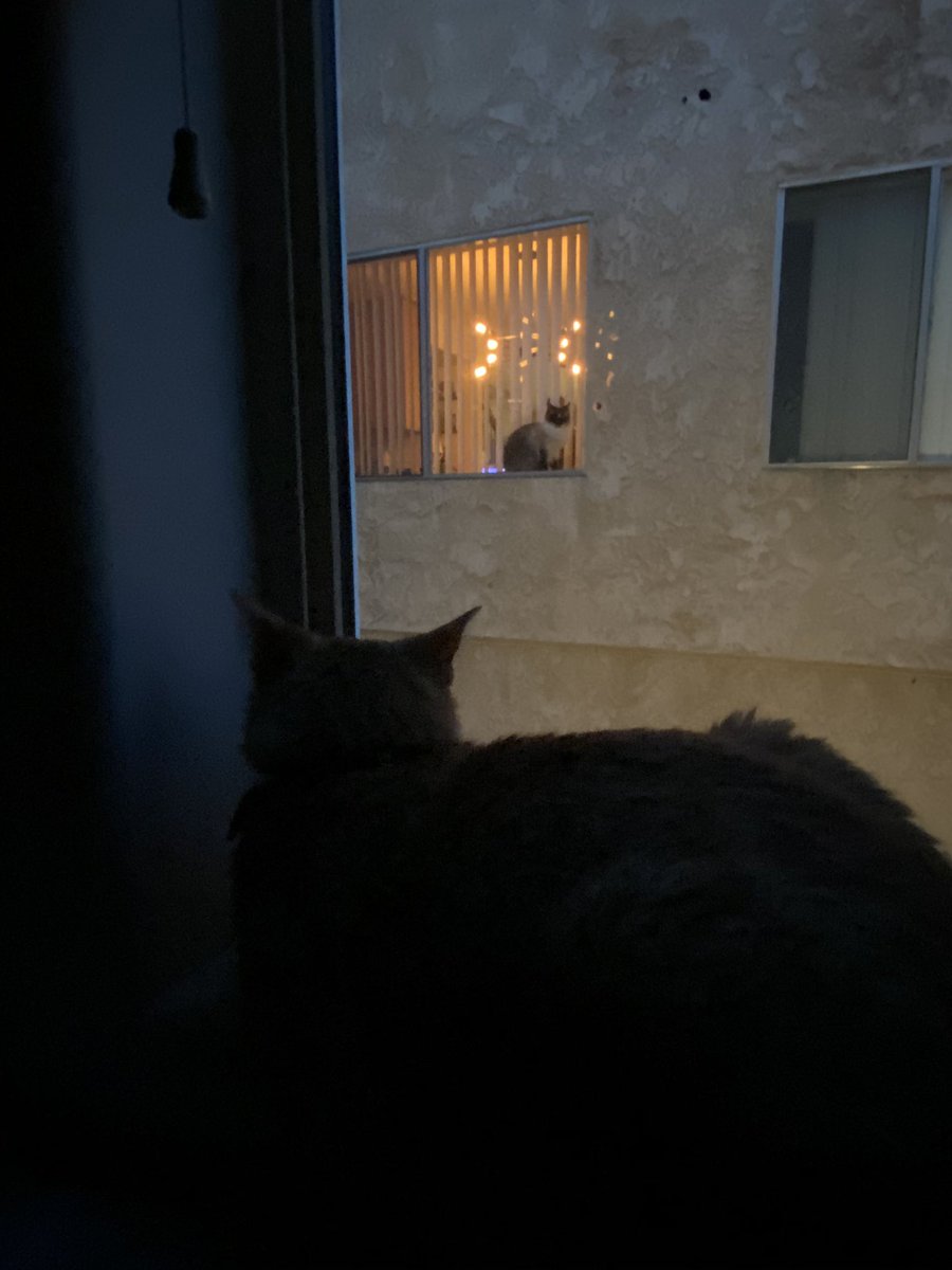 We just passed the anniversary of this. They’re celebrating with a dinner date