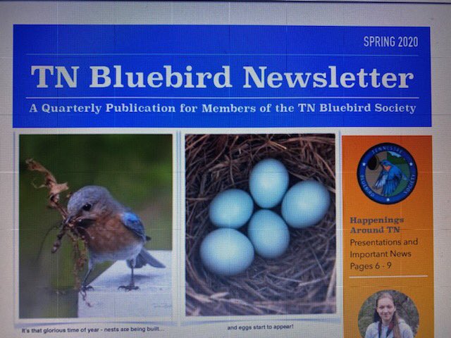 Linda Gilbert tweet media