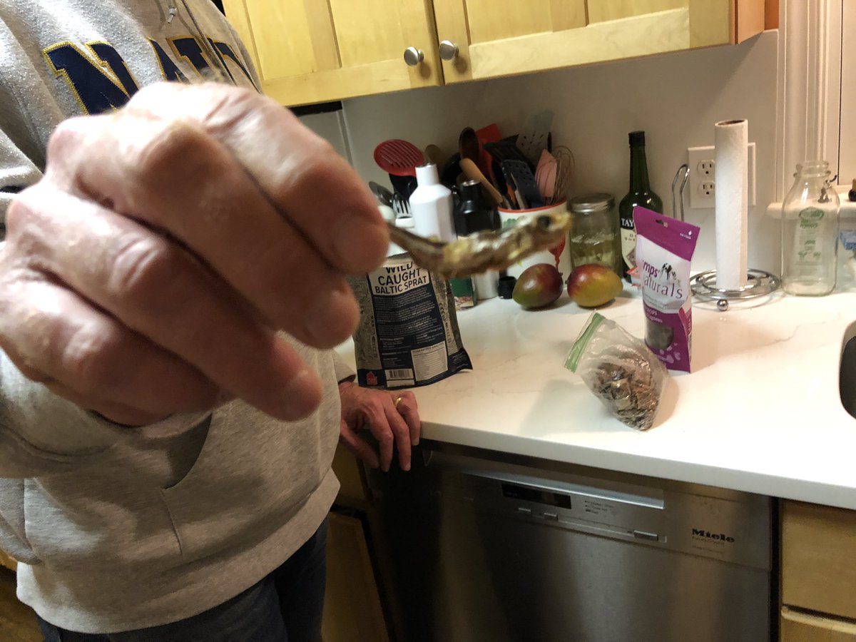bubbanoot's tweet photo. Oooh, fish sticks! https://t.co/JLnSrYwQUe