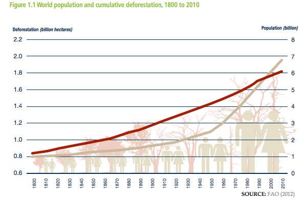 • A large proportion of that land which is now agriculture used to be carbon sink forests, and used to regulate the climate. No longer. • The rest of that land used to be grasslands, which also held C in the soil with help of herds of wildlife - no longer.