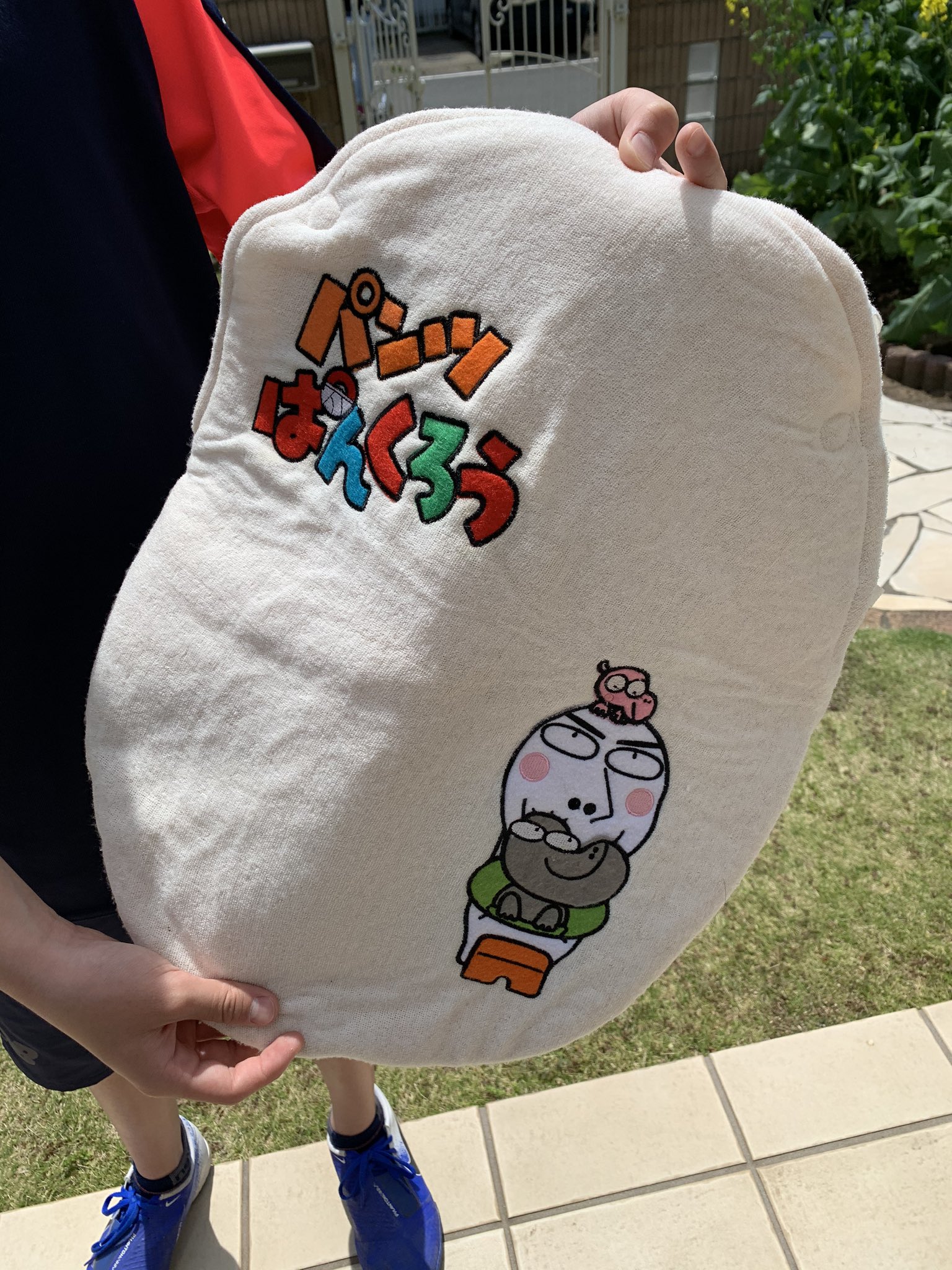 하나 はな 整理したら出てきた 懐かしい 娘っ子の小さい時に姉が買ってくれたやつ 喜ぶと思ってこれを付けたらトイレ怖いって言い出した 知ってる人いるかな トイレさま パンツぱんくろう おかあさんといっしょ T Co