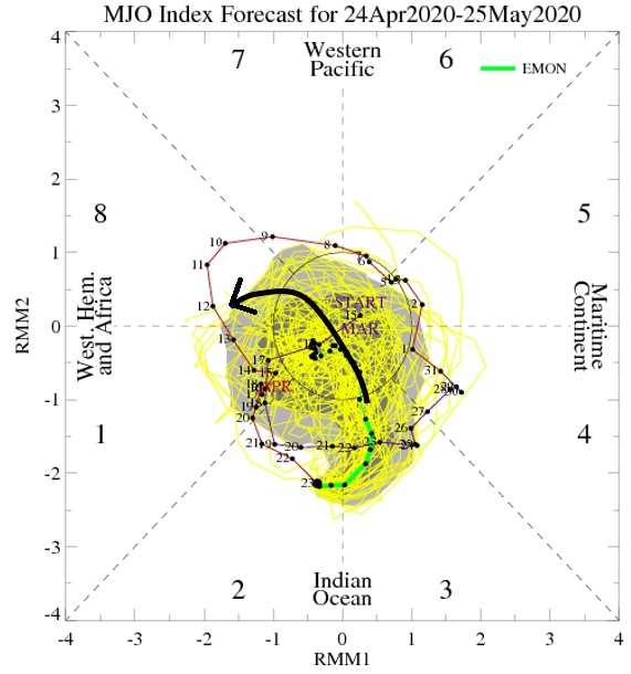 Tropical convective forcing over E. Africa/W. Indian Ocean past 5 days evidence of new MJO wave. Warm Indian Ocean waters, w/ 850mb convergence, suggest continued MJO growth. Models argue for limited east movement. Current Kelvin wave over W. Pac aided by lingering El Nino...