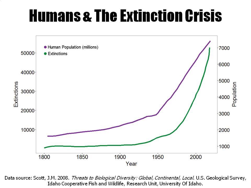 • And of course this thread has not really mentioned the mass extinctions which have already been ‘necessary’ to get the human population to 8b. Don’t the other creatures & ecosystems on this planet have rights to, the right to exist? This is the worst global crime of humanity.