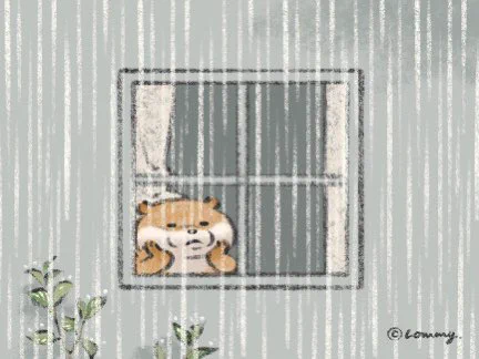 繋がってるの☔️☀️
#カワウソ 
