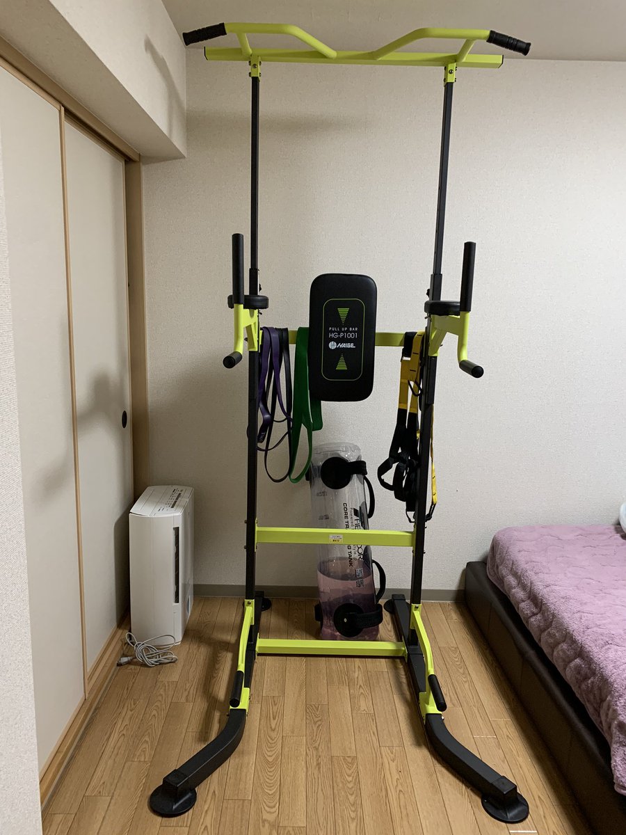 能澤誠 ラックは置けないけど チンニングスタンド購入しました Trxもローイングは出来ないけど 足吊ってプランク系は出来そうです