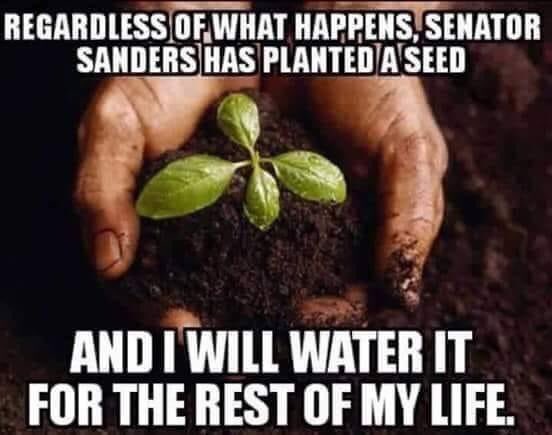 DrKyleNicholas's tweet photo. #IAmBernie https://t.co/0S7cs77xGk