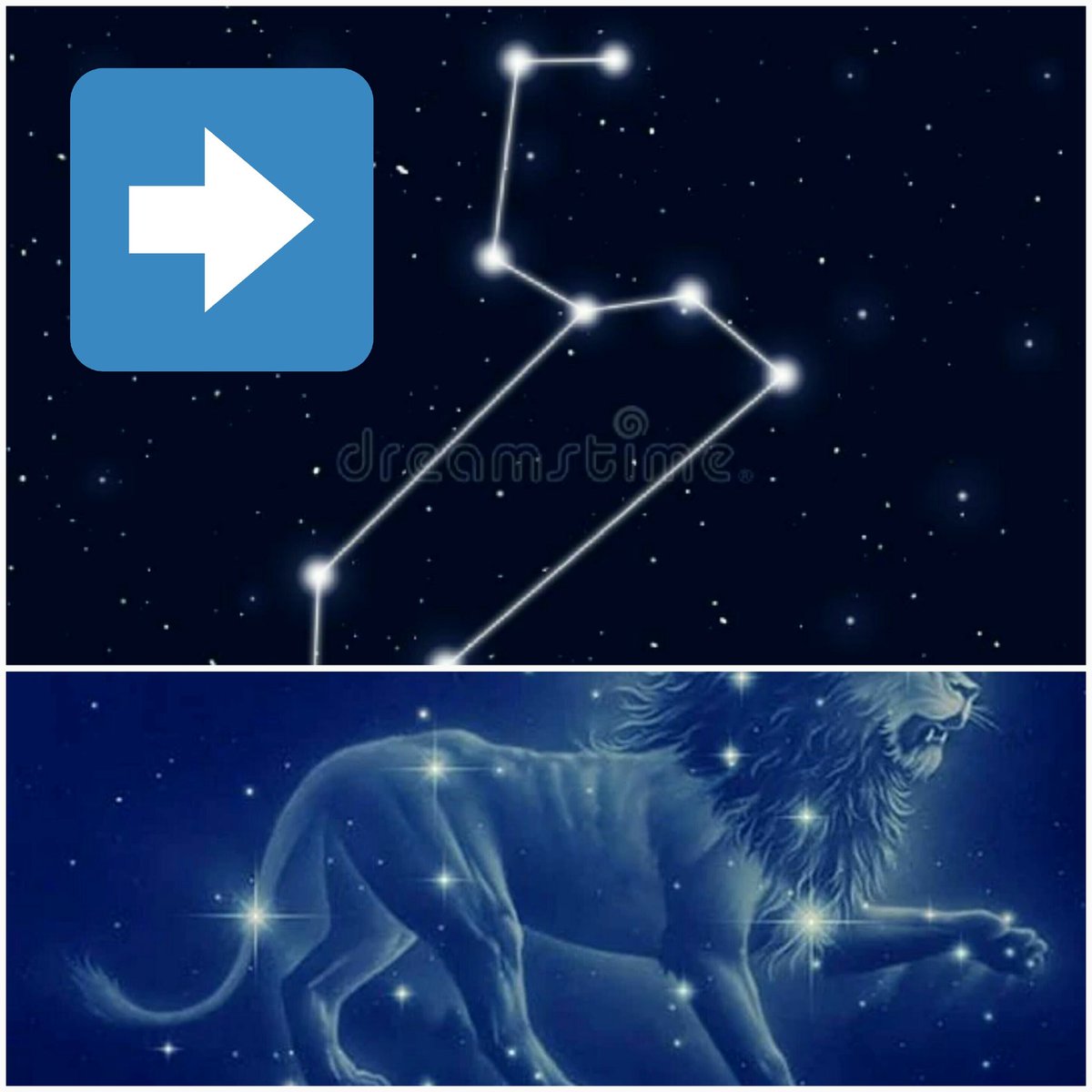 NotiCiclismoCol's tweet image. Nos han mentido tanto 
¿de verdad ustedes ven un león?

no fregues... parece un gancho para la ropa