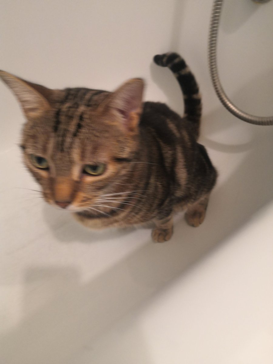 1 like = 1 photo floue de Ravioli