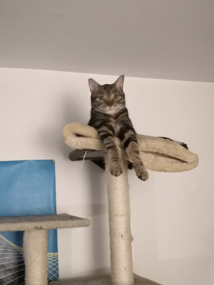 1 like = 1 photo floue de Ravioli