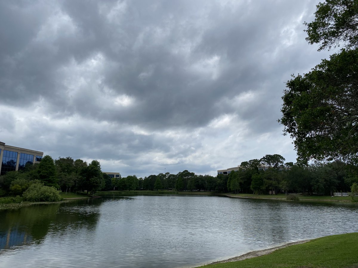 dolbyl's tweet photo. An afternoon stroll and a visit from a resident #easternpaintedturtle that quickly made it to the nearest retention pond. #OptOutside #walkforexercise #clouds #hikefl #hikeflorida #Saturday #walkforhealth #walking https://t.co/gzmxEZx0RZ