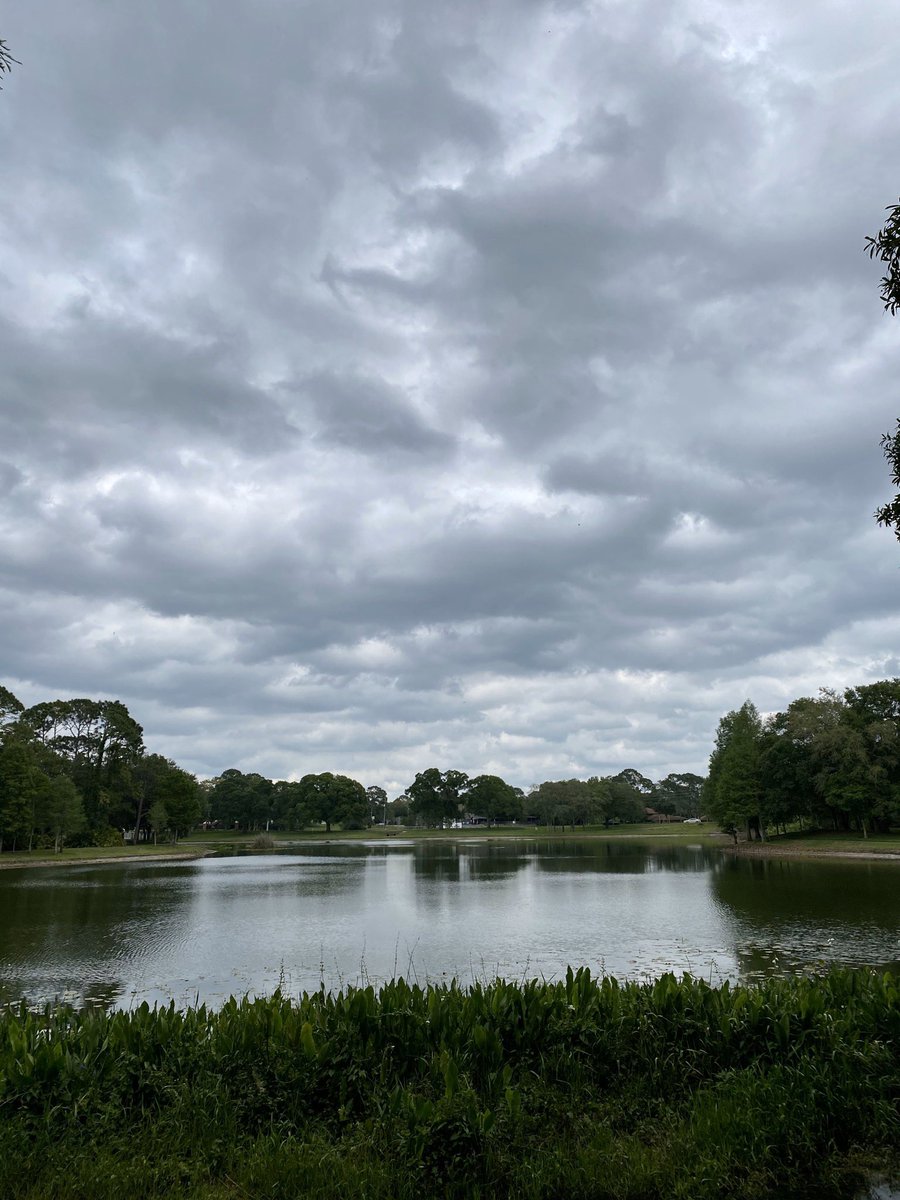 dolbyl's tweet photo. An afternoon stroll and a visit from a resident #easternpaintedturtle that quickly made it to the nearest retention pond. #OptOutside #walkforexercise #clouds #hikefl #hikeflorida #Saturday #walkforhealth #walking https://t.co/gzmxEZx0RZ