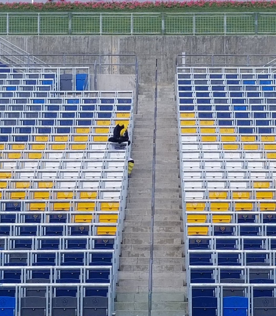 CozmoLAGalaxy's tweet photo. If I sit here long enough, I can almost hear your voices, and feel your energy. 

I get the chills every time. 
💙💛🤍

#CozmoQuarantine https://t.co/3lcg2LYPbX