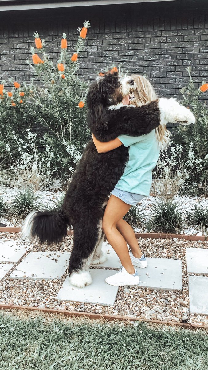 Bear hugs are the best hugs 🖤