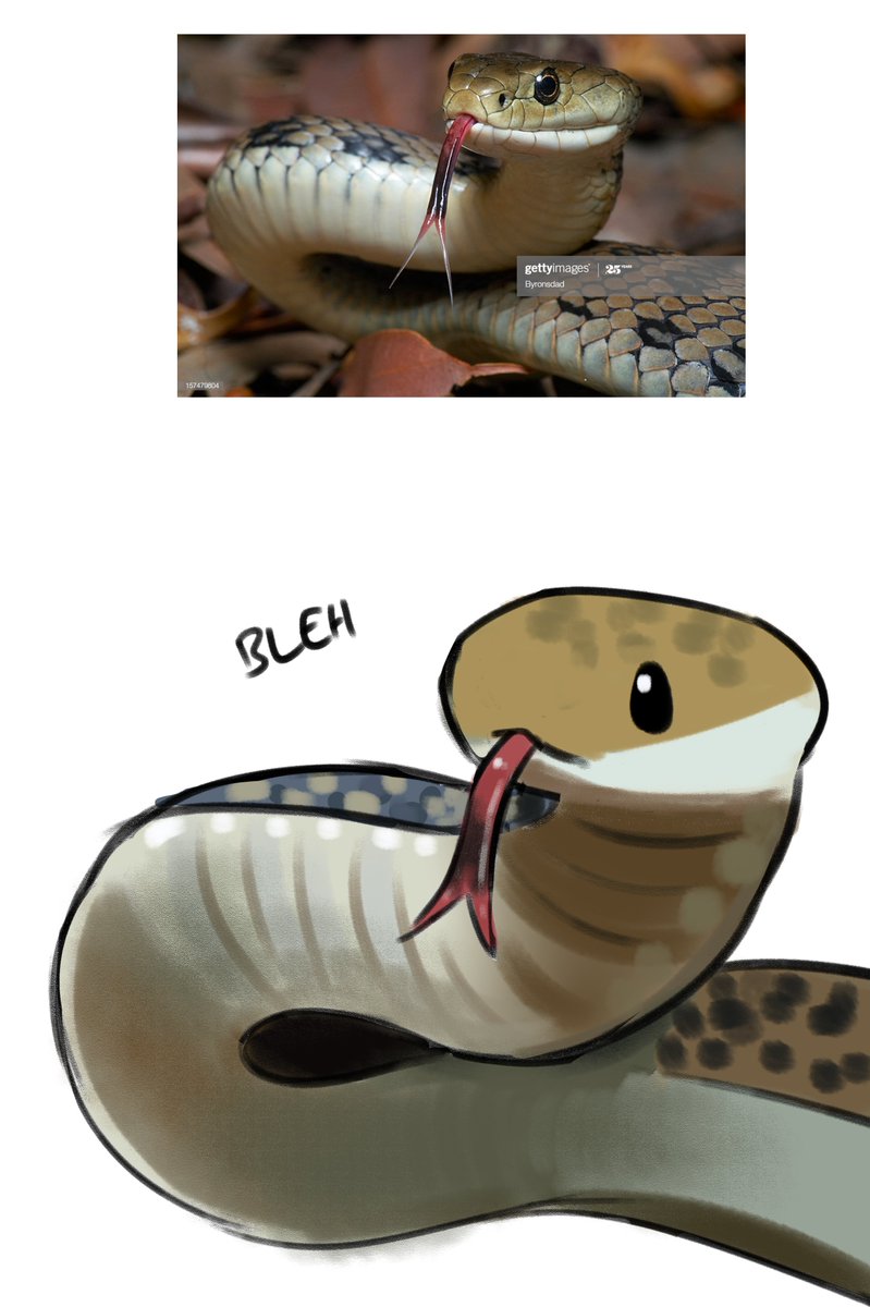 35 Kitten Memes: Cute, Funny \u0026 Adorably Evil Kittens - Catster, image size:799x1200