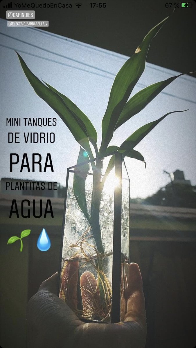 ElectricBarbra's tweet photo. Solo hago lo que me gusta, y armar estos hermosos vidrios me gusta mucho! 🥰

#CuarentenaPositiva https://t.co/5CBpKeBwhu