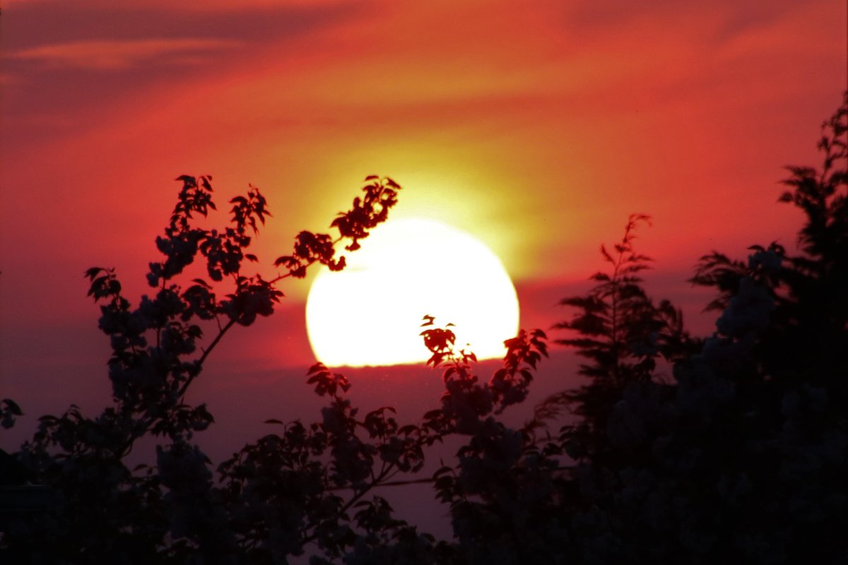 Paul Hegarty tweet media