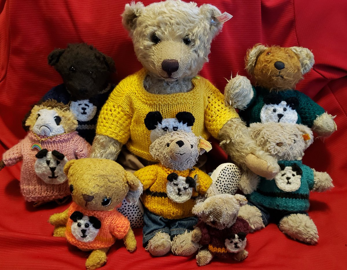Archie (and Milo!) Fuzzy 🐻 #FuzzyBearDontCare tweet media