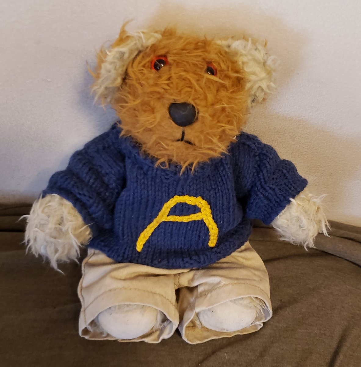 Archie (and Milo!) Fuzzy 🐻 #FuzzyBearDontCare tweet media