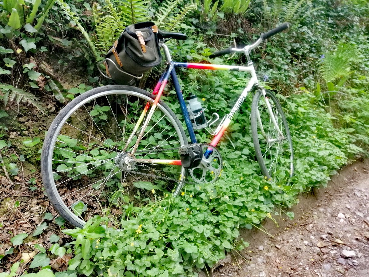 #fixedgear #fixie #fixed #fixedlove #fixiestyle #fixieporn #fixiefamous #bikeporn 
amzn.to/2JAT0db