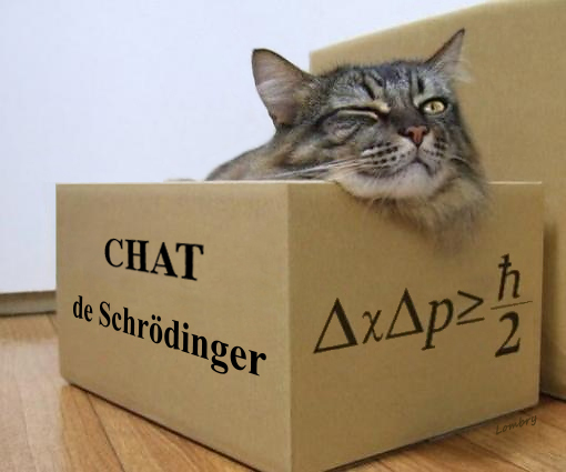 ChromaticSoul_'s tweet photo. Politique quantique : Je félicite et remercie la #CoreeDuNord d'avoir mis en place une expérience similaire à l'expérience du chat de Schrödinger à l'échelle mondiale. Les scientifiques pensaient que c'était impossible.
#KIMJONGUNDEAD OR NOT .. #ScienceB...! https://t.co/3Nih6gEQHX