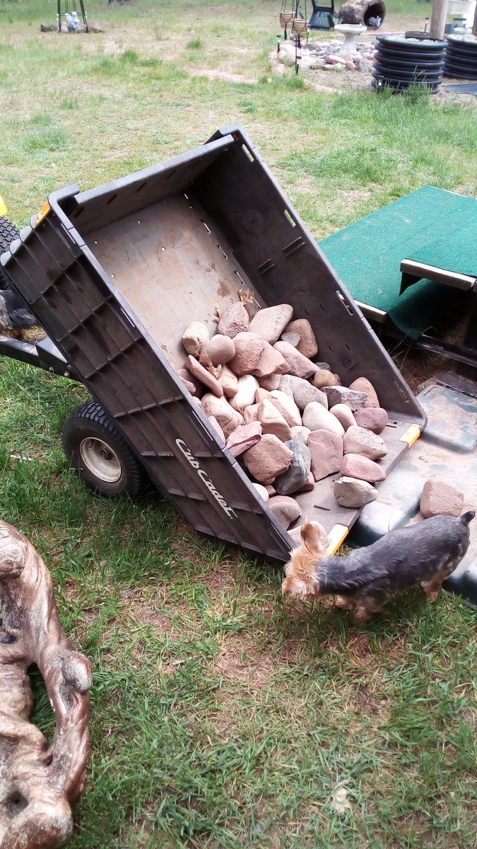 cb_wolfpoint's tweet photo. @CubCadet_USA Loads and loads of rocks #CubSpring #CubStrongPromo #CubStrong https://t.co/9cstH0g45d