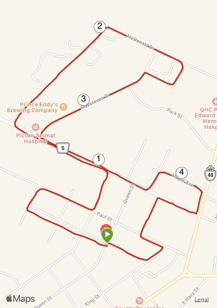 m_foley7's tweet photo. Started our #VirtualPaceSeries Top Run Challenge today with a 5km #Run Ryder is the perfect wingman and we look forward to completing both the 10 and 21.1km distances #PEC https://t.co/FxrhEls7qs