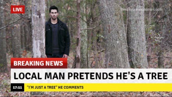 BackToBeacon's tweet image. 