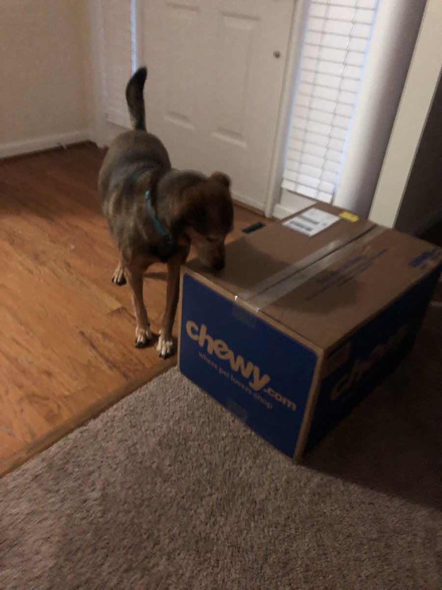 Brittany Kerckhoff tweet media