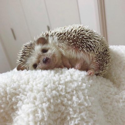 Dyouherisson's tweet image. #NouvellePhotoDeProfil