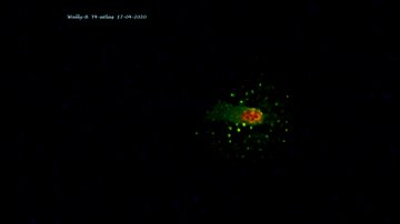 View image on Twitter