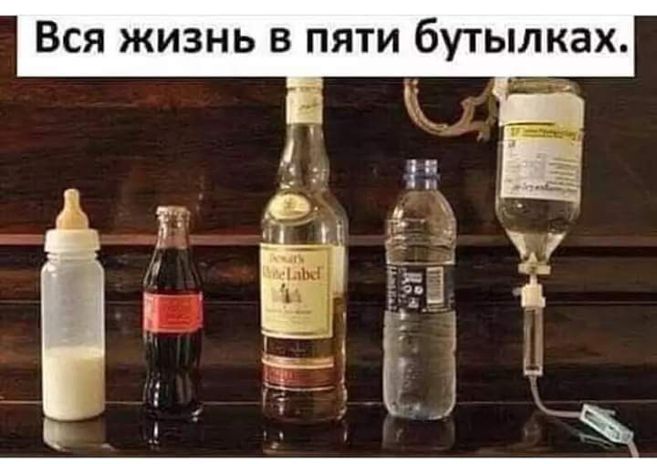 Алла Українка (@alinaboy42) on Twitter photo 