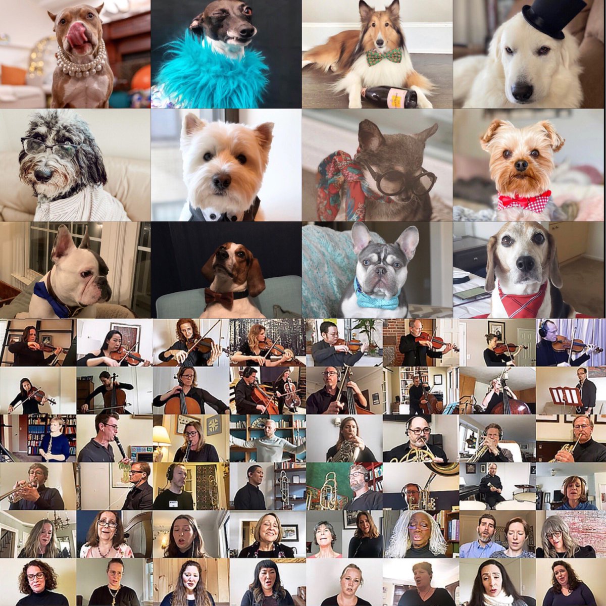 theoperadogs's tweet photo. Congrats to all on a beautiful “At-Home Gala” from @MetOpera! #Operadogs around the world enjoyed watching from home in their finest 🤩

If you missed the #livestream, you can watch until tomorrow at 6:30pmET tomorrow! 🎵

📸 @metopera https://t.co/dugA1HKUtt