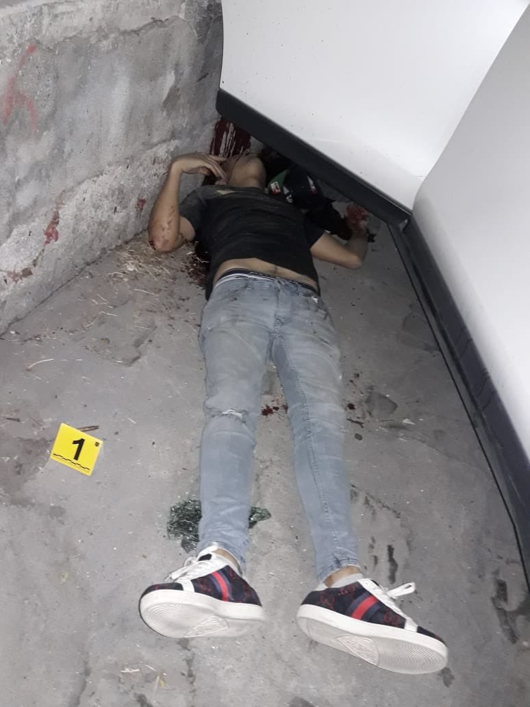 ALERTA GDL tweet media