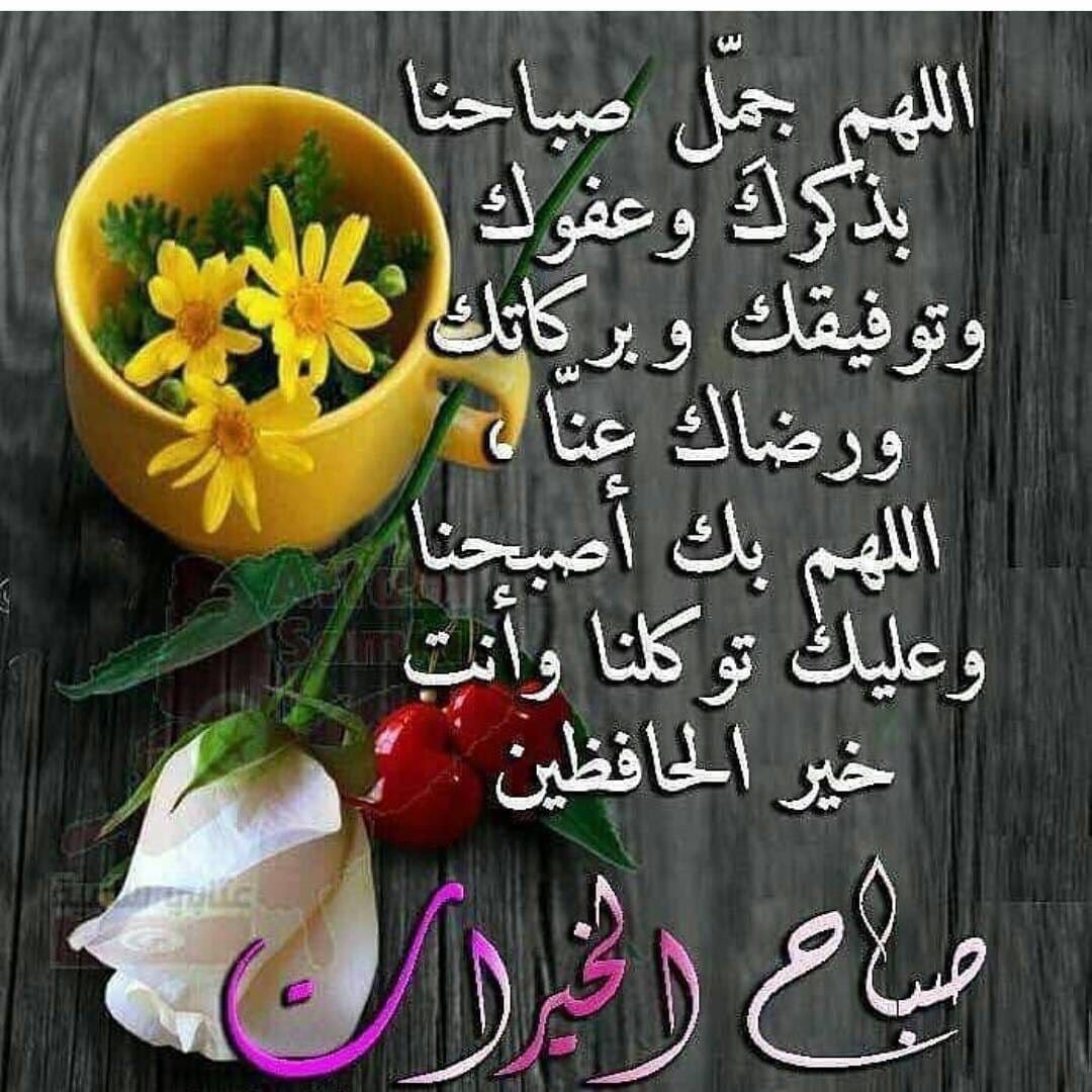 n (@nasser2000009) on Twitter photo 
