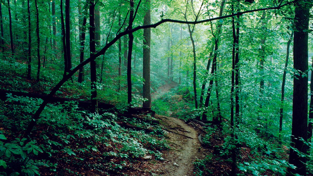 NPCA's tweet photo. βAll that health research really backs up what it feels like to be out in nature. It feels good. We belong there.β #PowerOfTheParks #NationalParkWeek https://t.co/77LUHGhXS7 https://t.co/xHE50TBCo4