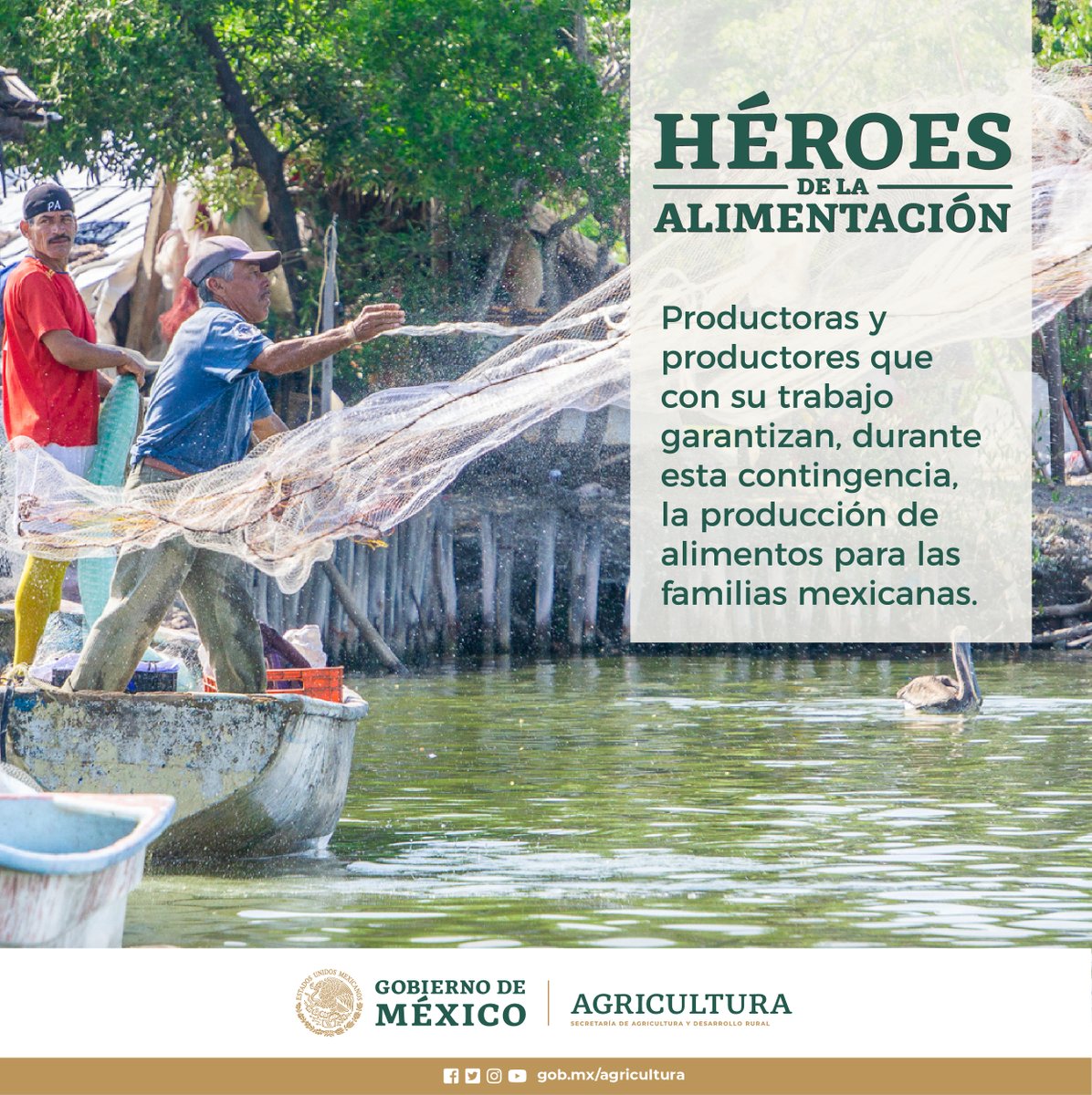 Tenemos #HéroesDeLaAlimentación en la pesca y la acuacultura, personas comprometidas que continúan laborando para garantizar el abasto alimentario a todo el territorio nacional
#MéxicoSolidario
#ElCampoNoSeDetiene
#QuédateEnCasaYa