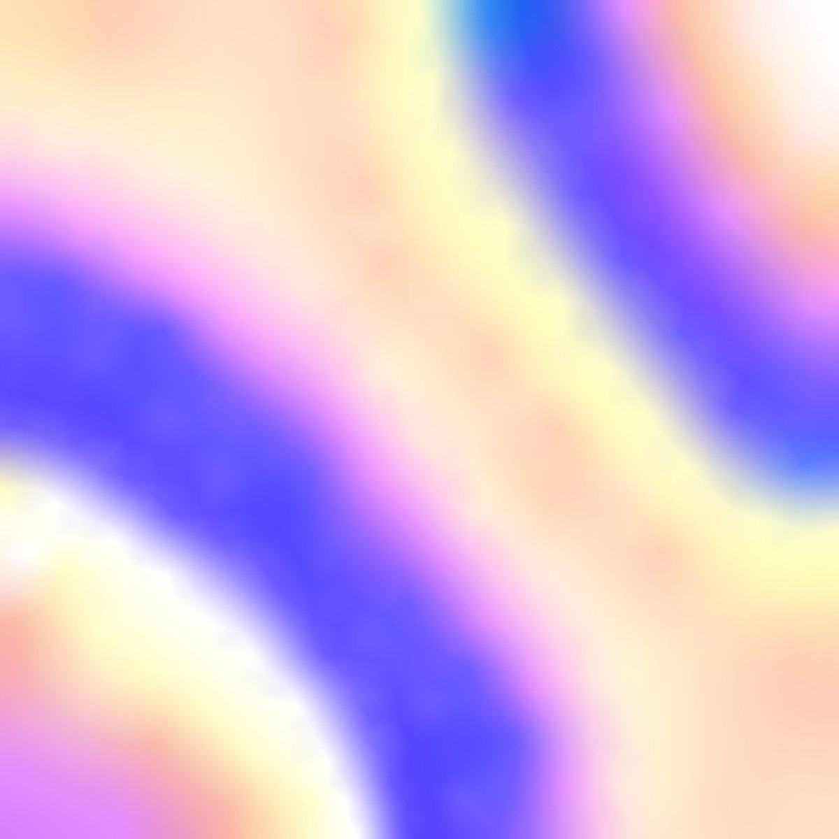 sightnyc's tweet image. Exploring identity