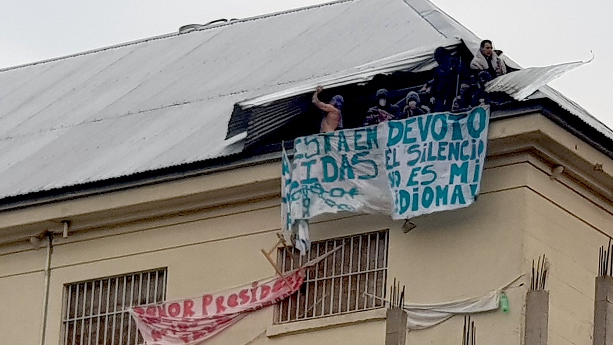 Devoto Magazine tweet media