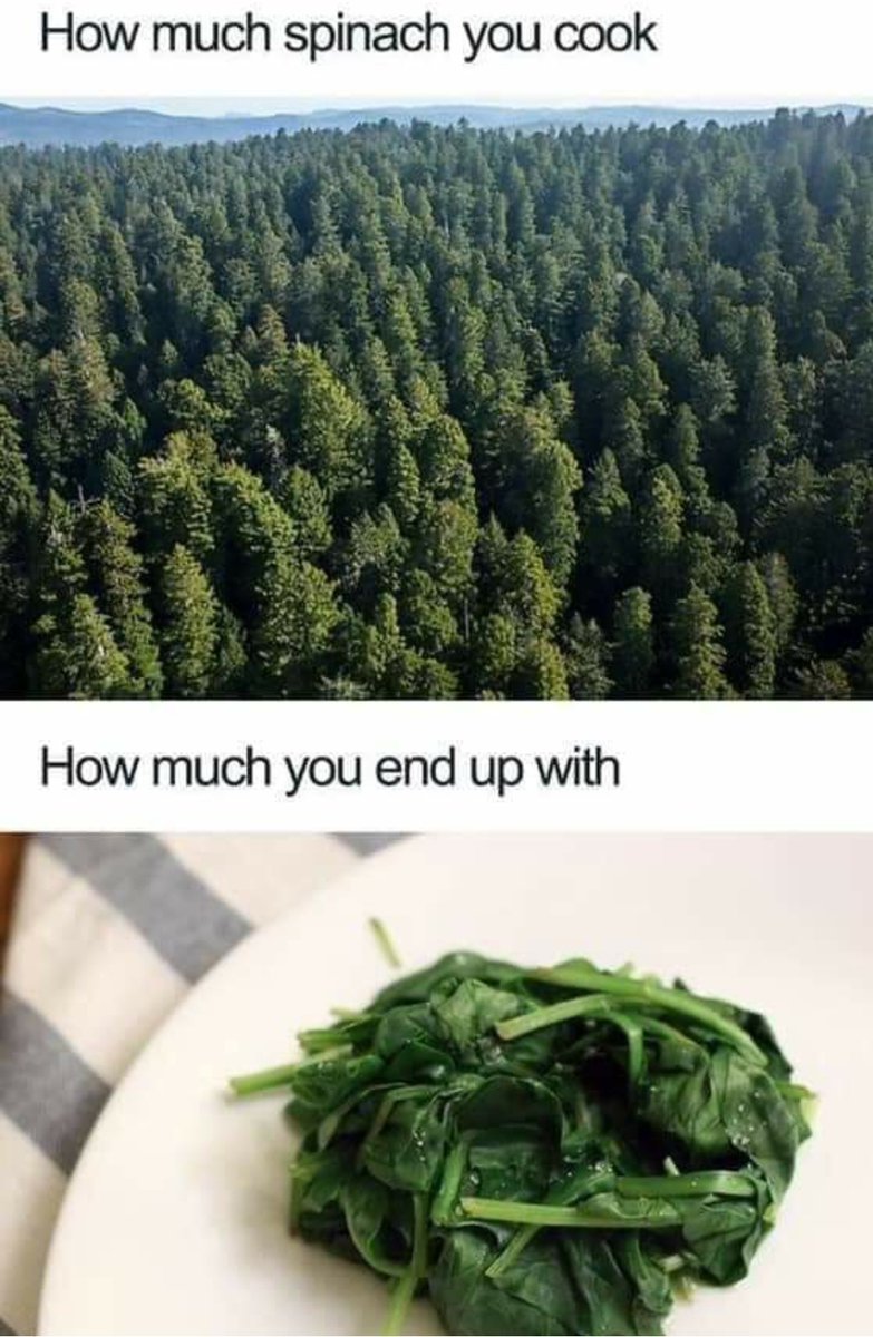 💕#truth 🤣
#spinach #greenvegetables #vegetables #freshgreens #greens #food