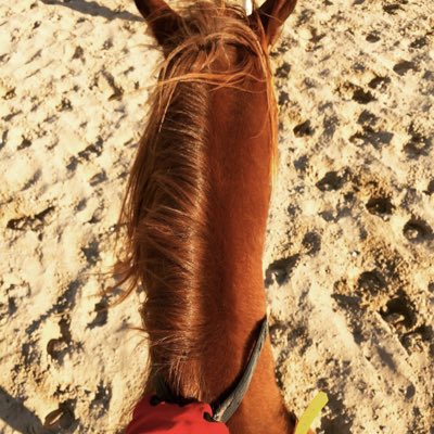 mnalmohd5's tweet photo. #NewProfilePic https://t.co/YSR2cArnBr