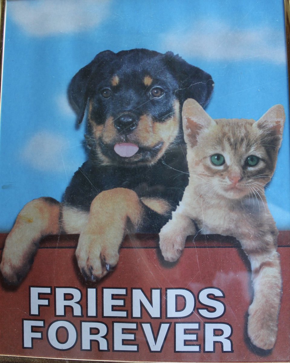 v8b8's tweet photo. #SocialDistancing #FriendsForever https://t.co/GfVSM6WVDD