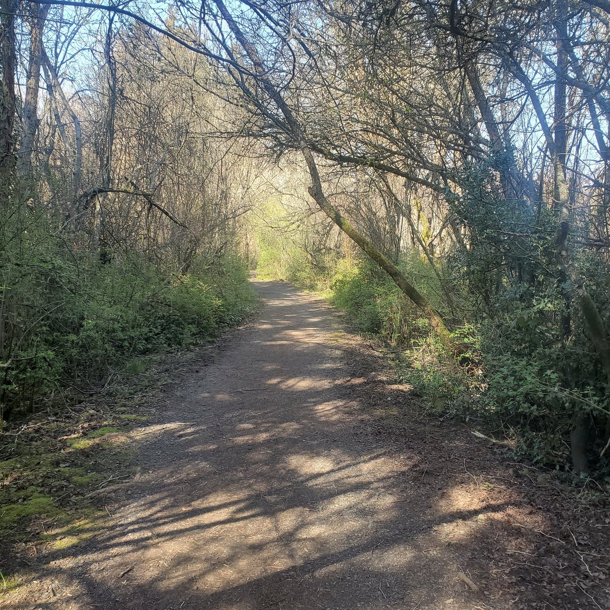 SaanichPD_RCsts's tweet photo. Super important for us as reserves to maintain our fitness. We run the POPAT just like regular members to be accepted into the program. Today I took advantage of an afternoon trail run #goals #StayActive #fittofunction https://t.co/rZ780wcG0a