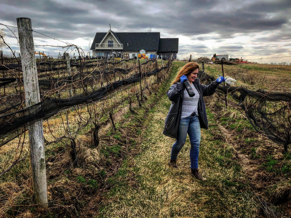 Cheers to the end of a long day!
#thelongrow’d #saturdaynightglassofwine #enjoythejourney