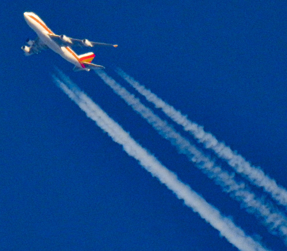 aviationathan's tweet photo. Kalitta Air #N403KZ #Boeing747 #Cargo #Freighter operating US Transportation Command flight #CMB163 from #Ramstein #USAF #AirForce Base to #Dover Air Force Base. Saturday 25th April 2020 #Military #AvGeek #AvGeeks #potn #PlaneSpotting #KalittaAir #Aircraft #747fans #JumboJet https://t.co/O9Ti6Fh9QI